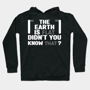 the earth is flat didn't you know that Hoodie